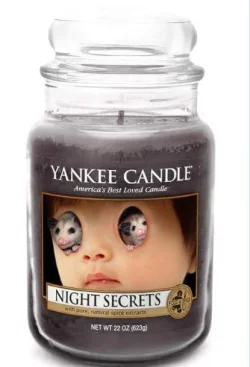 YS7nBgs.jpg