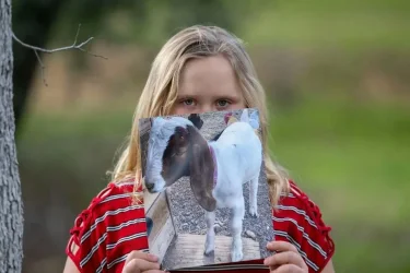 Jessica Long’s daughter holds a photo of her goat Cedar on in March at Minder Park in Redding before the family pet was seized by sheriff’s officials and taken to slaughter. Lezlie Sterling/lsterling@sacbee.com